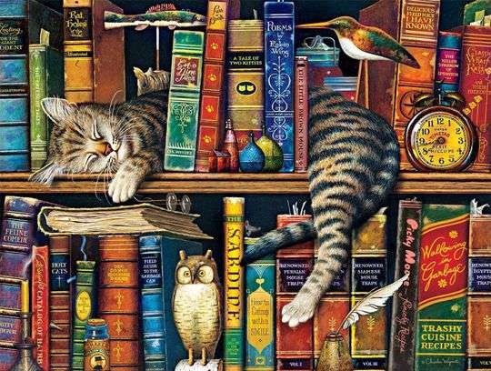 Katter bland tusen böcker Pussel online
