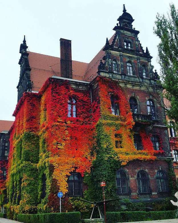 Revêtement d'automne sur le musée national de Wrocław. puzzle en ligne