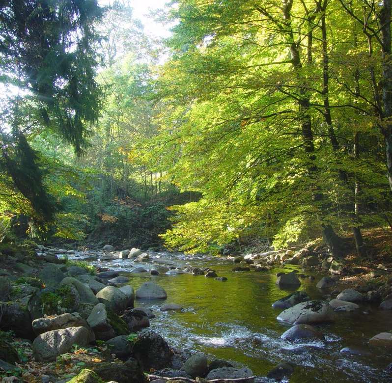 Harz i Thuringia skog och ström Pussel online