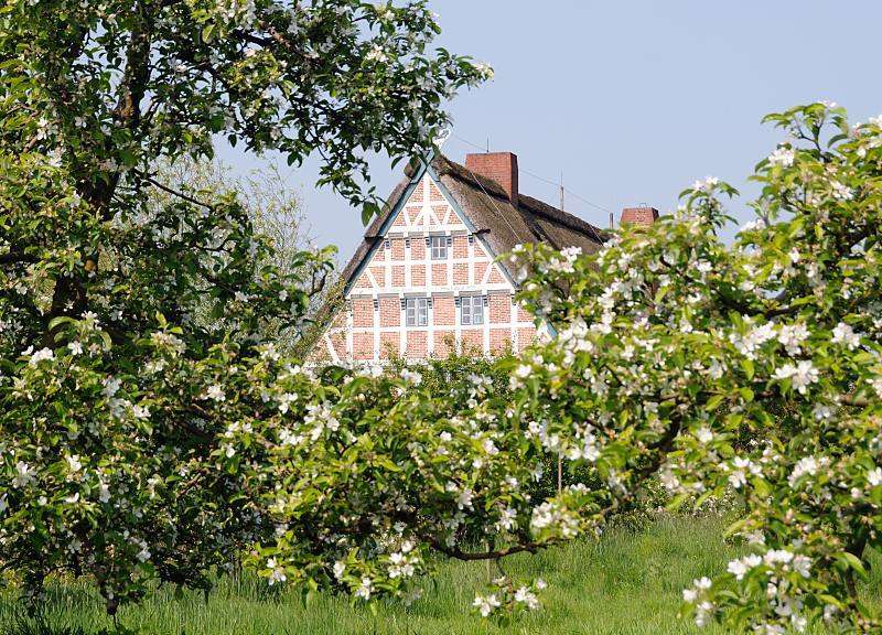 Περιοχή καλλιέργειας φρούτων Altes Land κοντά στο Αμβούργο online παζλ