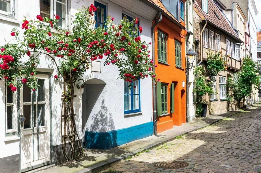 Hanzestad Lübeck huizen in de kathedraalwijk legpuzzel online