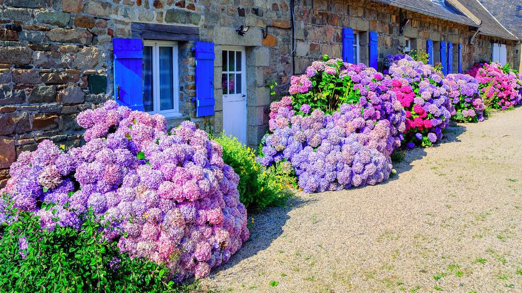 Domy s hortenzií v Bretani skládačky online