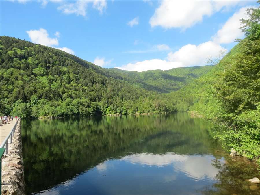 Vosges Peche au Lac Dalfeld puzzle en ligne