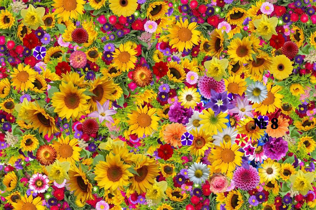 fleurs, beaucoup de fleurs puzzle en ligne