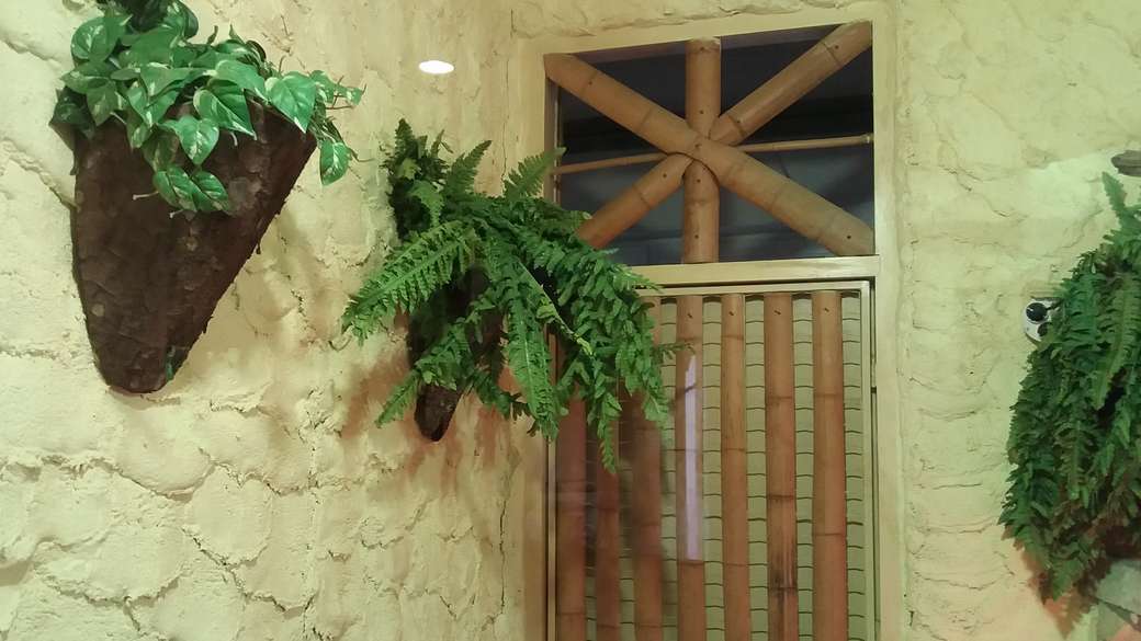 puerta y vegetación en la pared. rompecabezas en línea