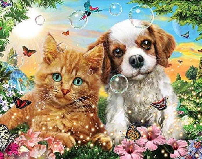 + Doggy and kitty + online puzzel