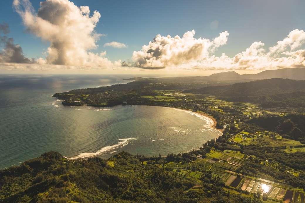 foto aérea de árvores e oceano puzzle online