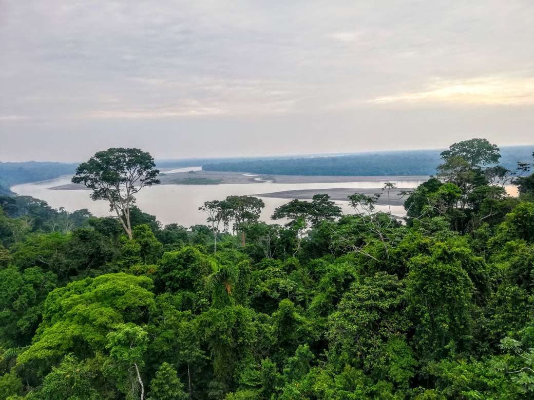 Napo River jigsaw puzzle online