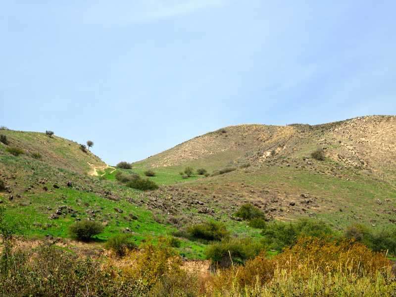 Гора Кармель недалеко от Хайфы Израиль онлайн-пазл