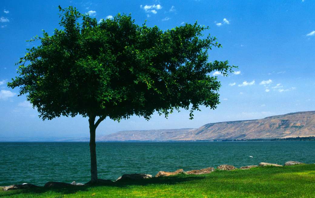 Sea of ​​Galilee with Golan Heights online puzzle