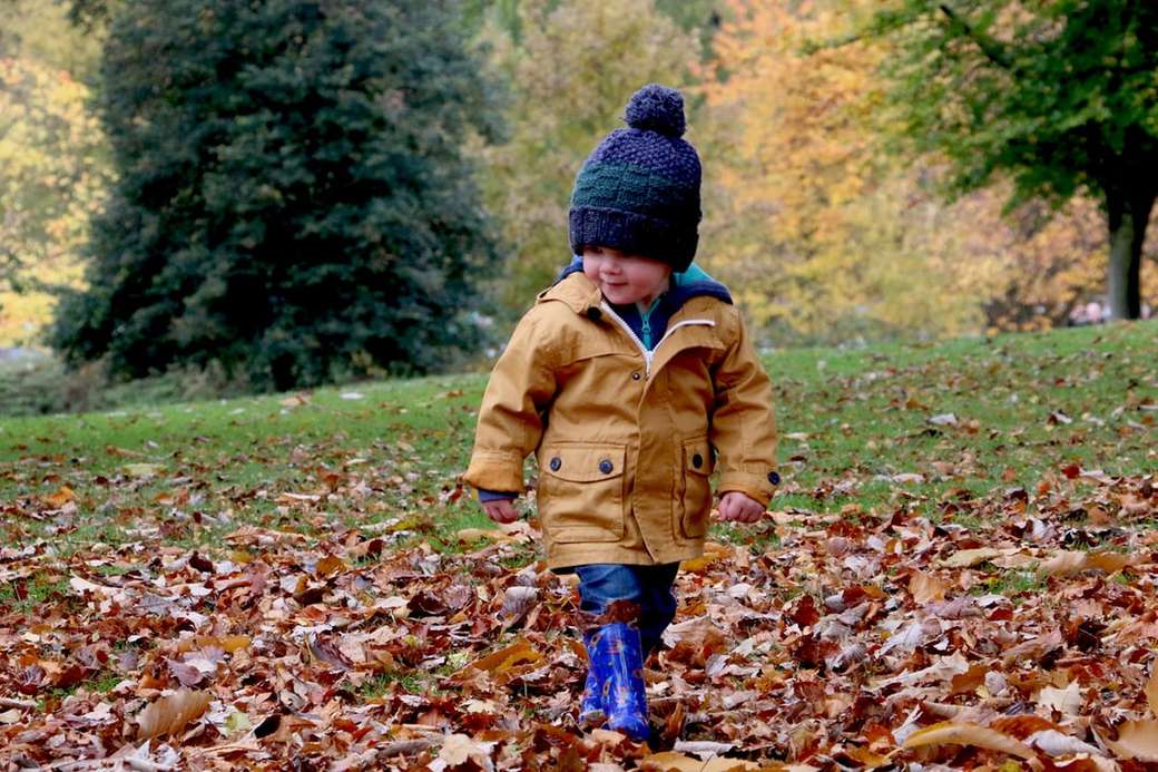 Niño caminando entre hojas rompecabezas en línea