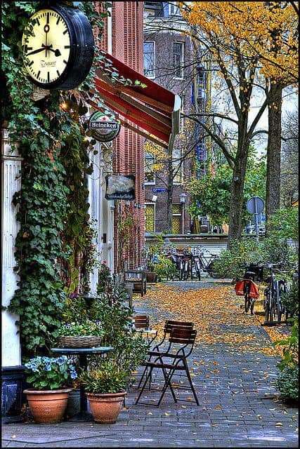 Straat in Nederland tijdens de herfst online puzzel