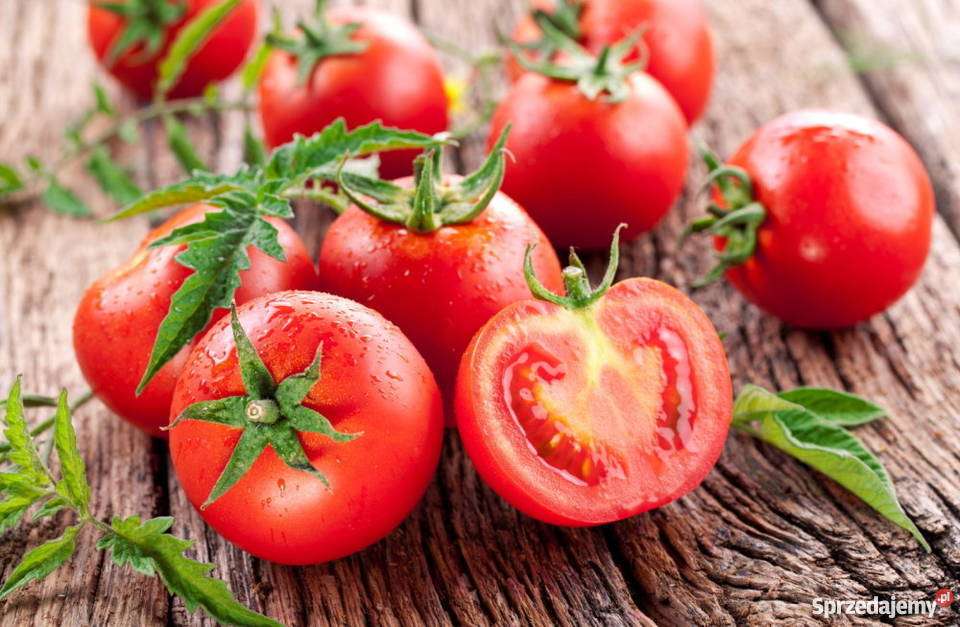 tomates puzzle online