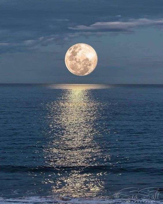 Изгрев на Луната в морето онлайн пъзел