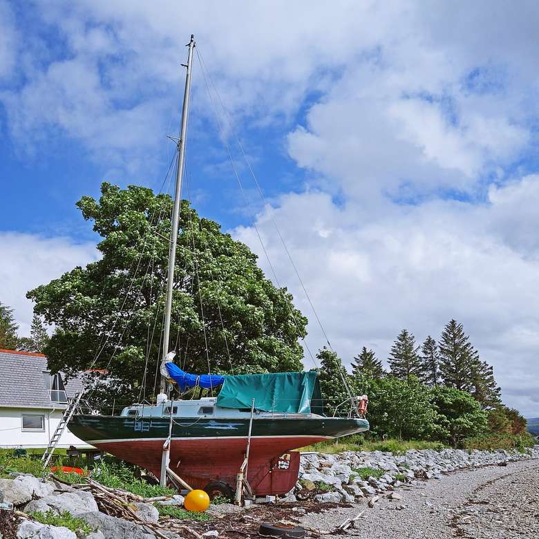 grönt och vitt båt på havsstranden under dagtid pussel online