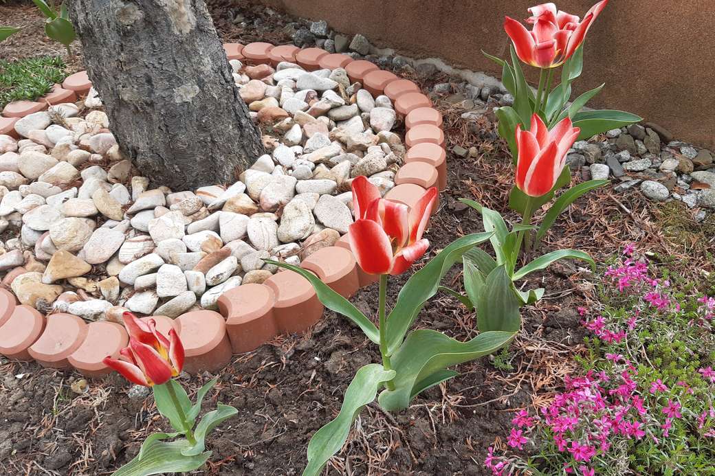 tulipánok a fa alatt kirakós online