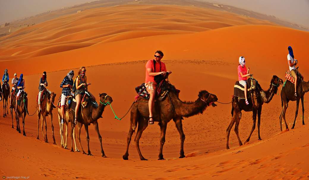 caravan in de woestijn online puzzel