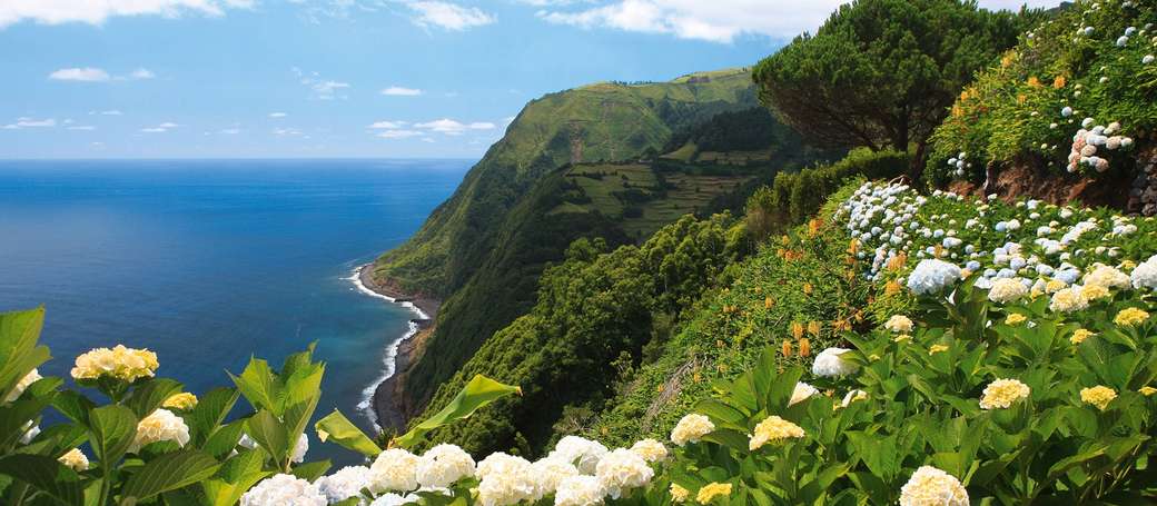 Крайбрежен пейзаж на остров Азорски острови онлайн пъзел
