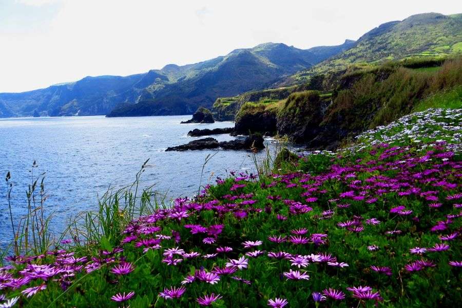 Paysage côtier de l'île des Açores puzzle en ligne