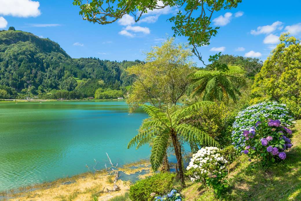 Lago das Furnas nos Açores quebra-cabeças online