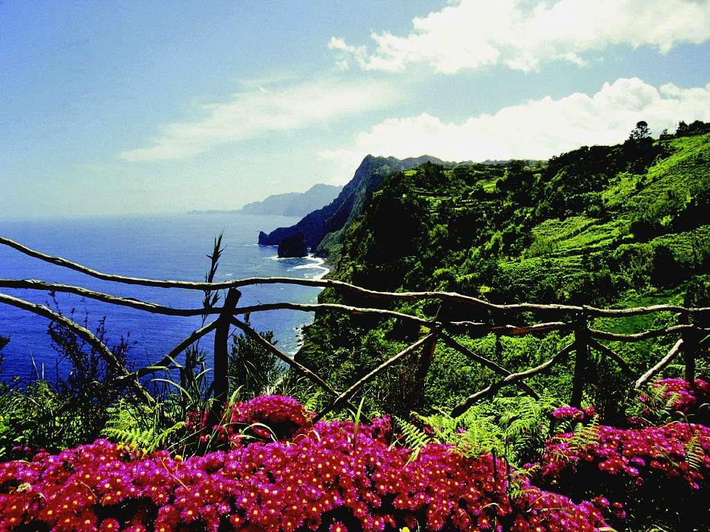 Цветочный остров Мадейры в Атлантике пазл онлайн