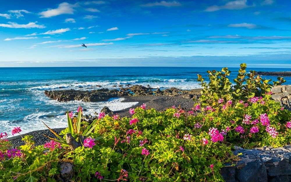 Канарски остров Тенерифе онлайн пъзел