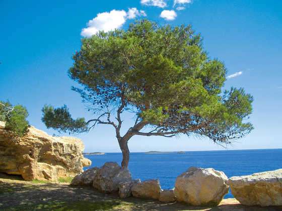 Ostrov Ibiza ve Středozemním moři online puzzle