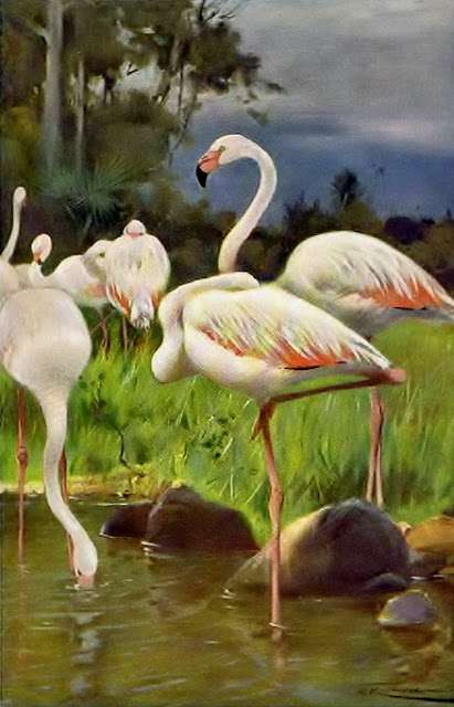 ೋ Kunst met flamingo's ೋ ღ legpuzzel online