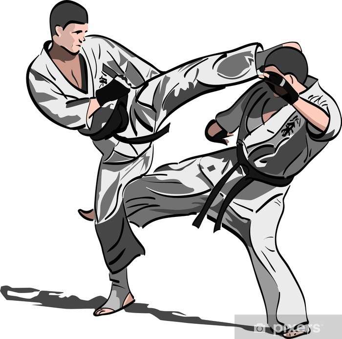 karate... legpuzzel online