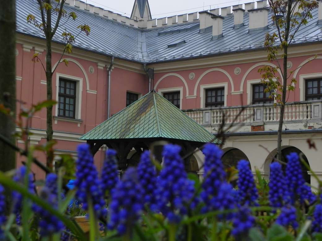 Fleurs à Lublin puzzle en ligne