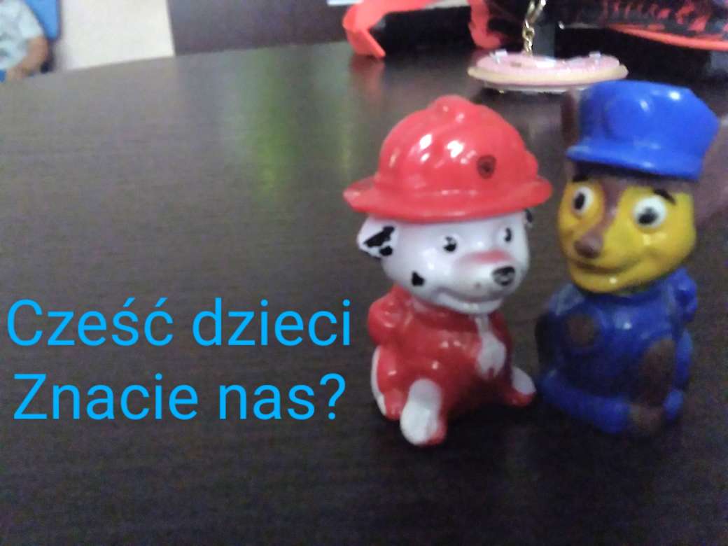 Doggies from the PAW Patrol jigsaw puzzle online