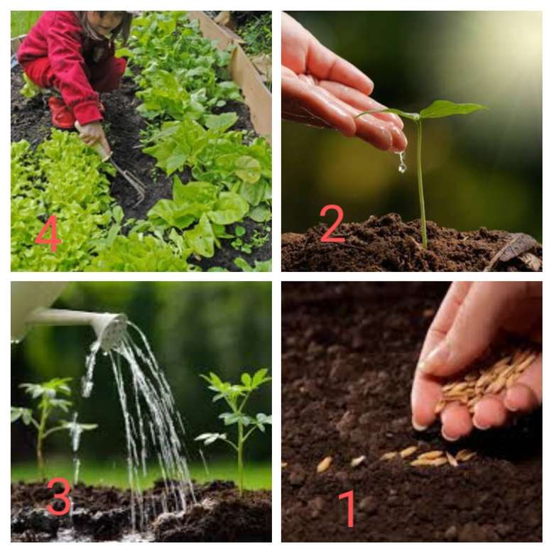 Planting and harvesting jigsaw puzzle online