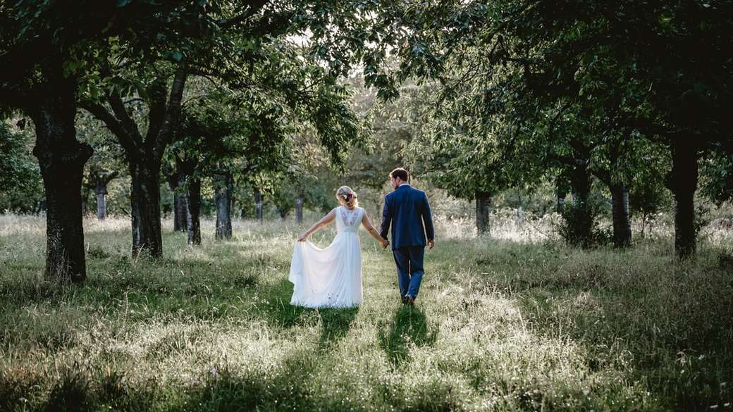 νύφη και νεόνυμφος που περπατούν στο πεδίο χλόης μεταξύ της φωτογραφίας treeline online παζλ