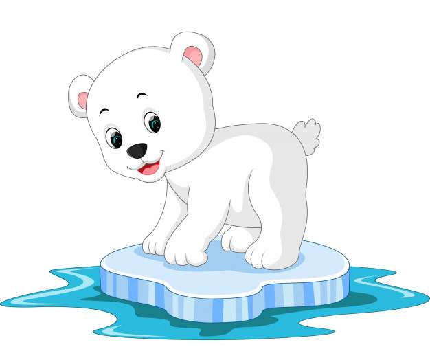 Polar Bear online puzzle
