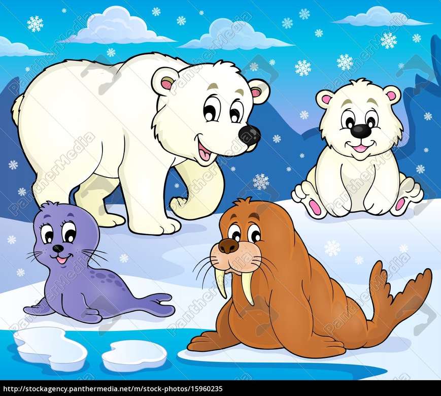 Arktische Tiere Puzzlespiel online