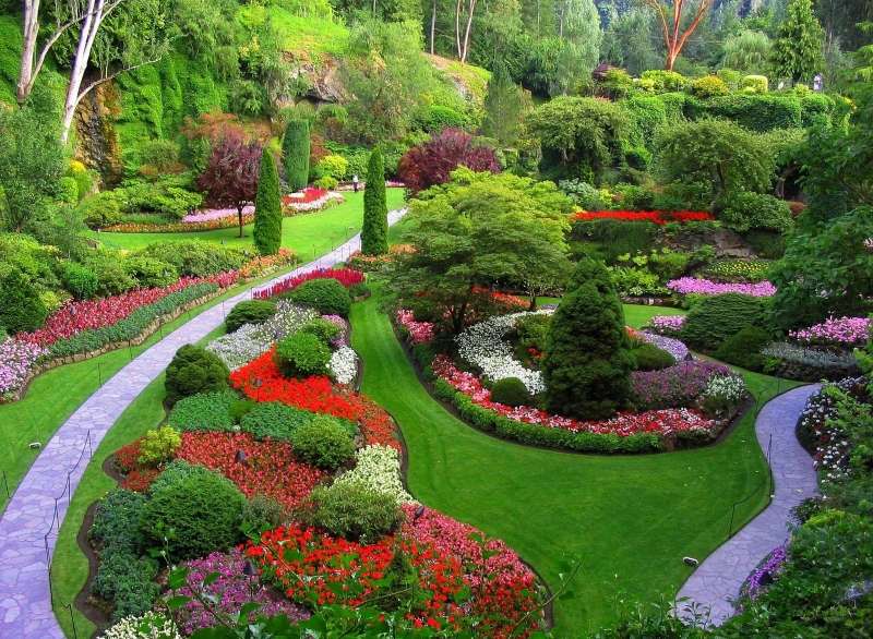 tuin in groen en bloemen legpuzzel online
