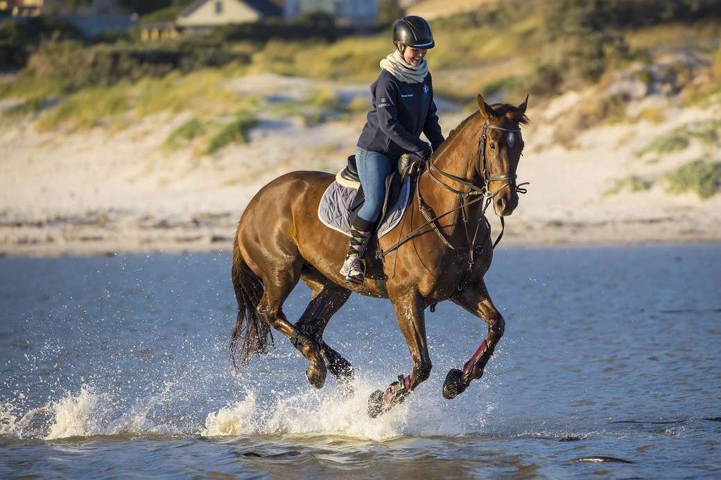 Pferd läuft auf dem Wasser Puzzlespiel online