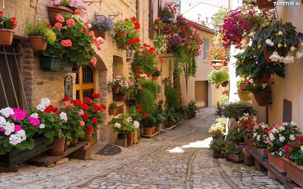 bloemrijk in de steegjes van Italië legpuzzel online