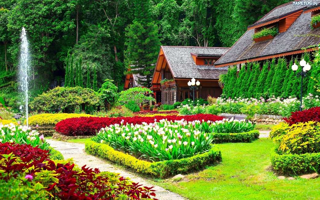 colorful vegetation in the park jigsaw puzzle online