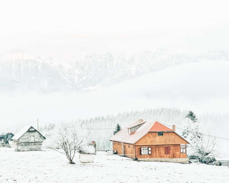 copaci acoperiți de zăpadă lângă casă puzzle online