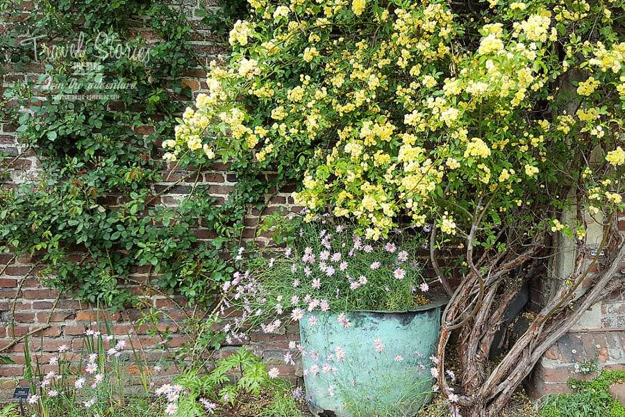 Il giardino del castello di Sissinghurst in Inghilterra puzzle online