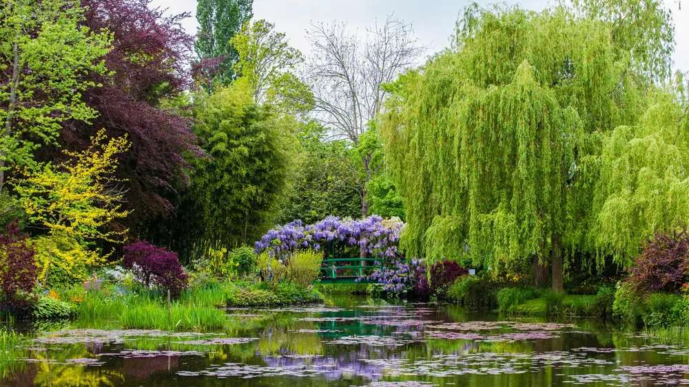 Paysage de parc jardin anglais puzzle en ligne