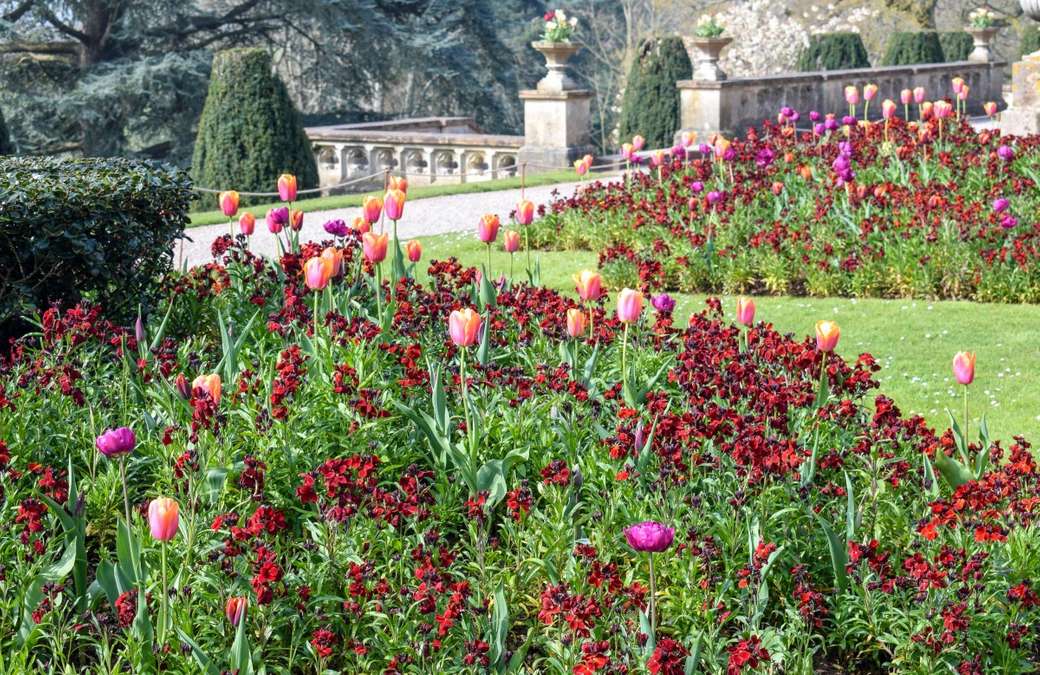 English garden parkland National Trust rompecabezas en línea