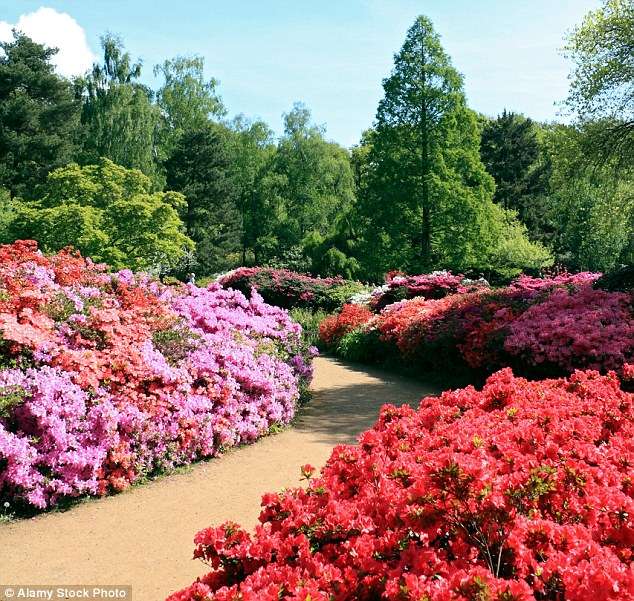 Parco giardino inglese National Trust puzzle online