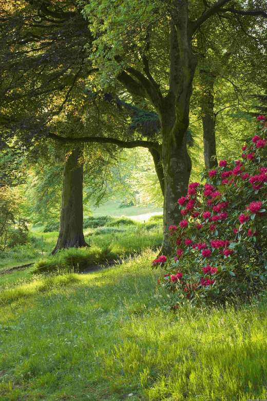 Anglický zahradní park National Trust skládačky online