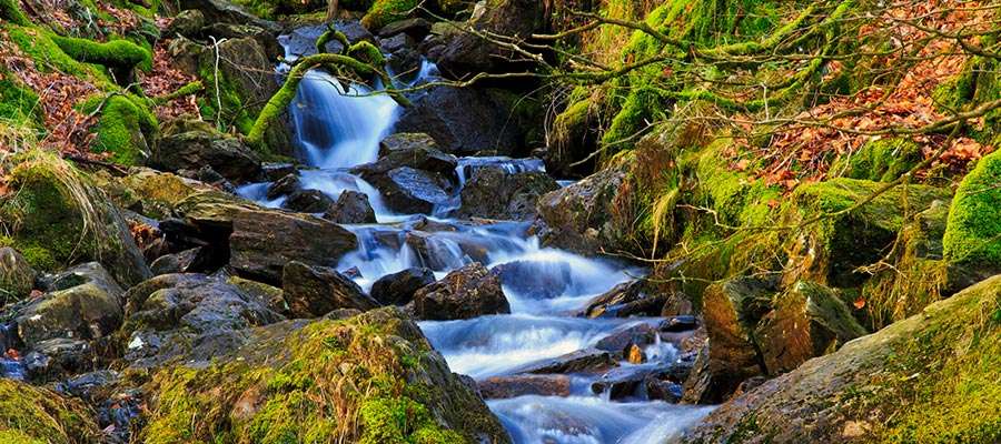 Wales countryside stream jigsaw puzzle online
