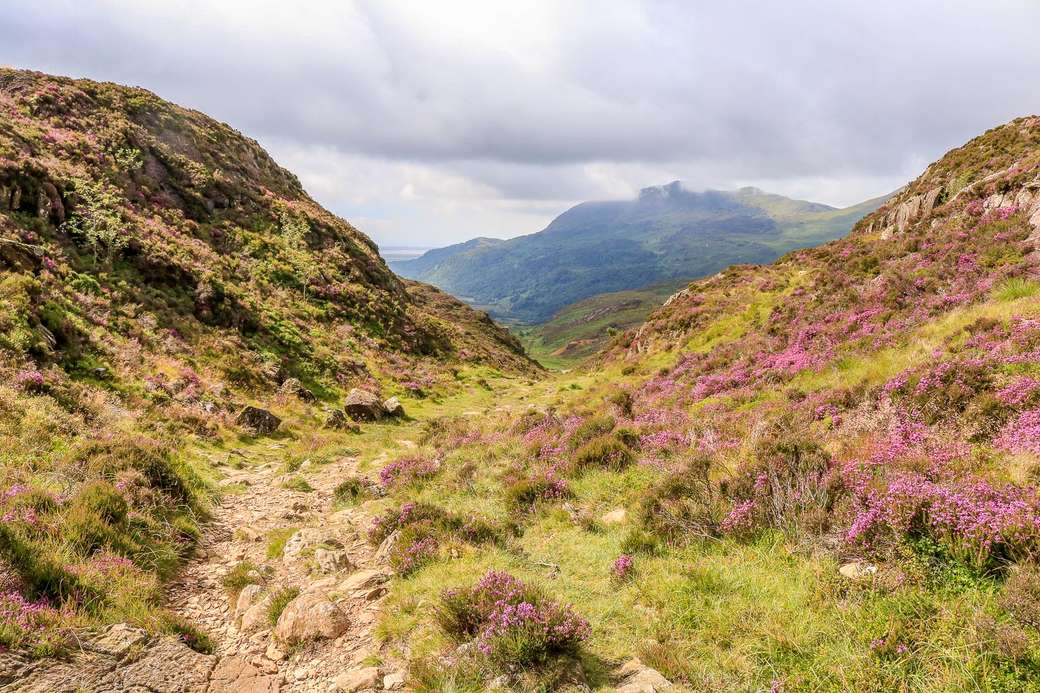 Wales horská a údolí krajina online puzzle