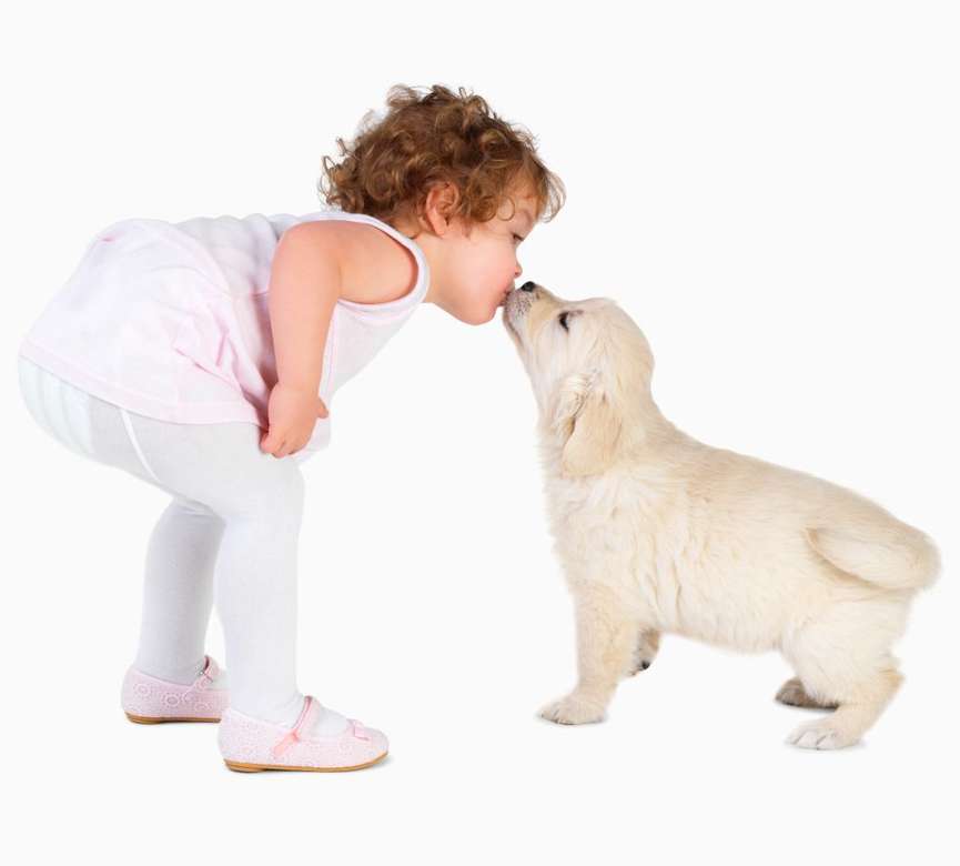 csók kutyusnak kirakós online