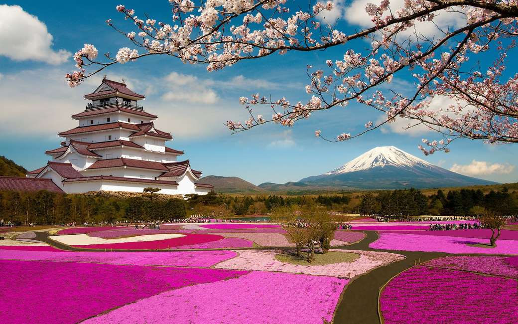 Beautiful image of Japan online puzzle