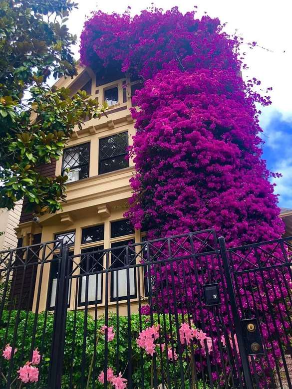 maison avec un buisson d'escalade en fleurs puzzle en ligne